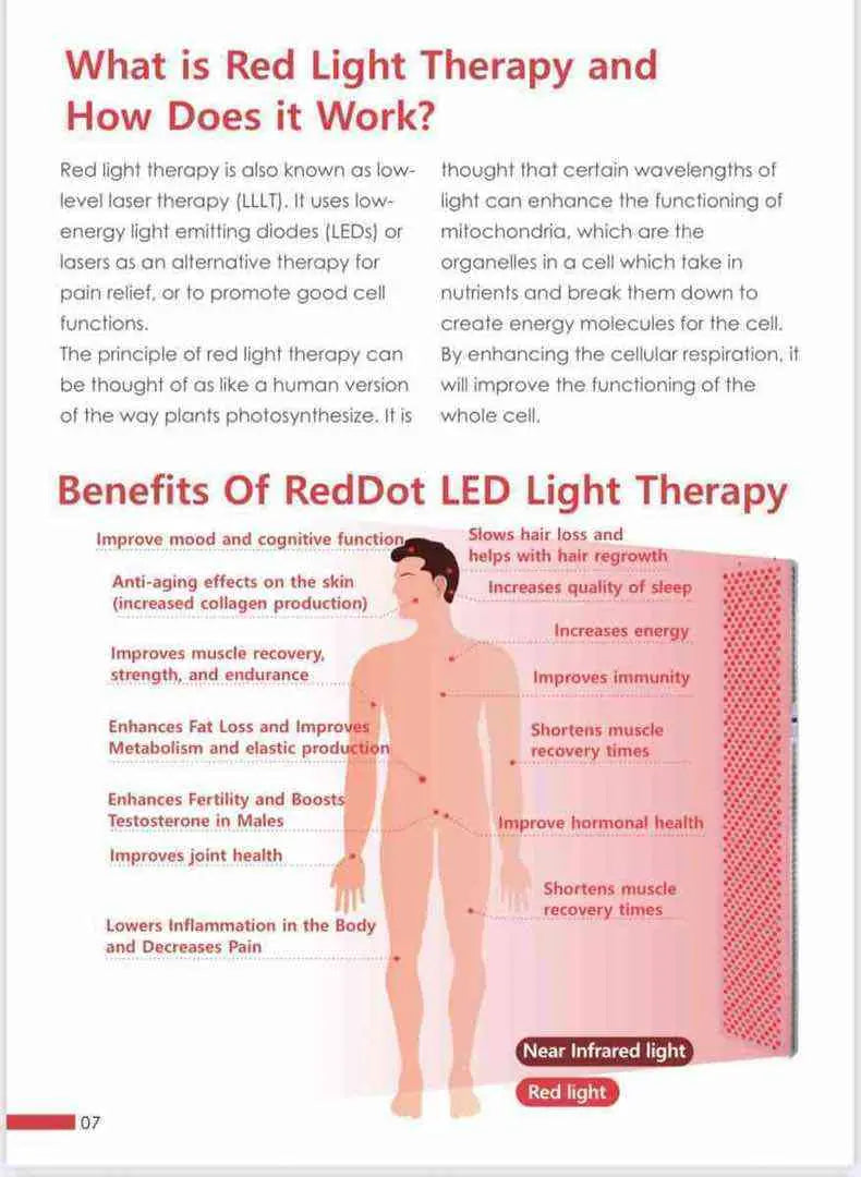 InfraCouch Simple Red Light Therapy Bed (Vacuactivus)